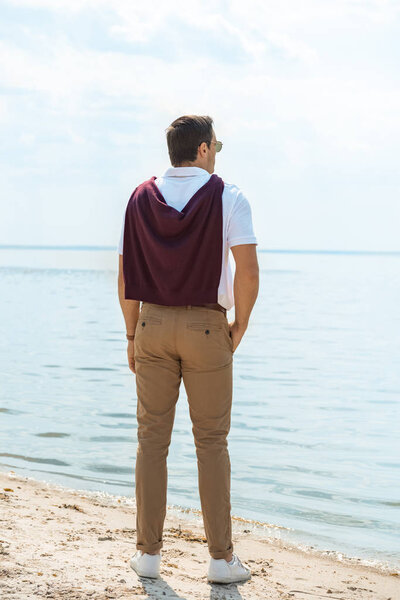 Вид сзади стильного мужчины, стоящего на песчаном берегу в одиночестве
