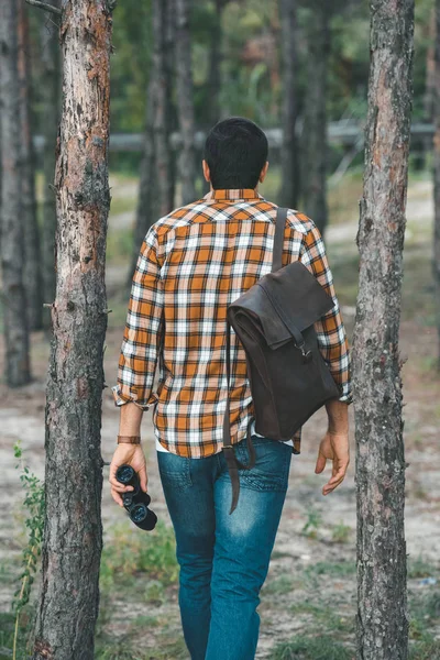 back view of tourist with backpack and binoculars walking in forest