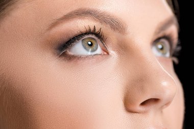 partial view of woman with makeup looking away clipart