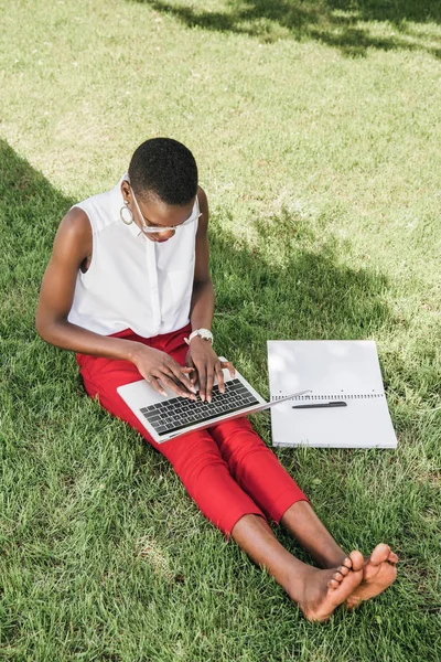 Elegante Mujer Negocios Afroamericana Sentado Hierba Uso Computadora Portátil Parque — Foto de stock gratis