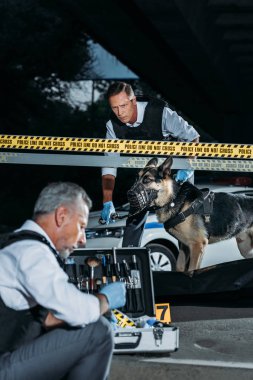 Olgun polis soruşturma araçları kira kontratı ayakta olay yerinde ceset torbası içinde ceset yakınındaki üzerine Alsas ile arkadaşı süre için durum ile oturan
