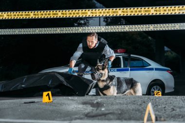 Alman çoban üstünde kira kontratı ceset torbası içinde ceset ile olay yerinde tutan orta yaşlı polis 