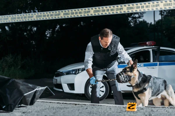 Male Poice Officer Holding Dog Leash Car Crime Scene Corpse — Stock Photo, Image