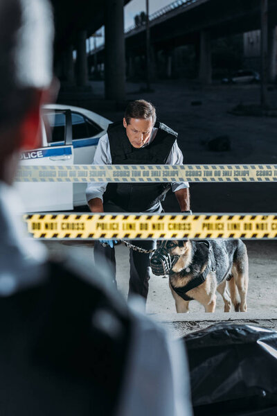 partial view of male police officer standing near corpse in body bag while his colleague standing with german shepherd on leash at crime scene 