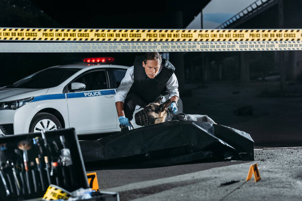 middle aged policeman holding german shepherd on leash at crime scene with corpse in body bag and case with investigation tools 