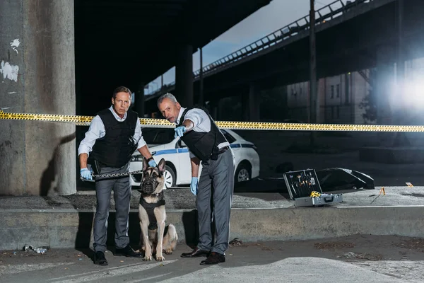 Зрілий Поліцейський Вказує Пальцем Колегу Собакою Повідку Біля Перехрестя Місці — стокове фото