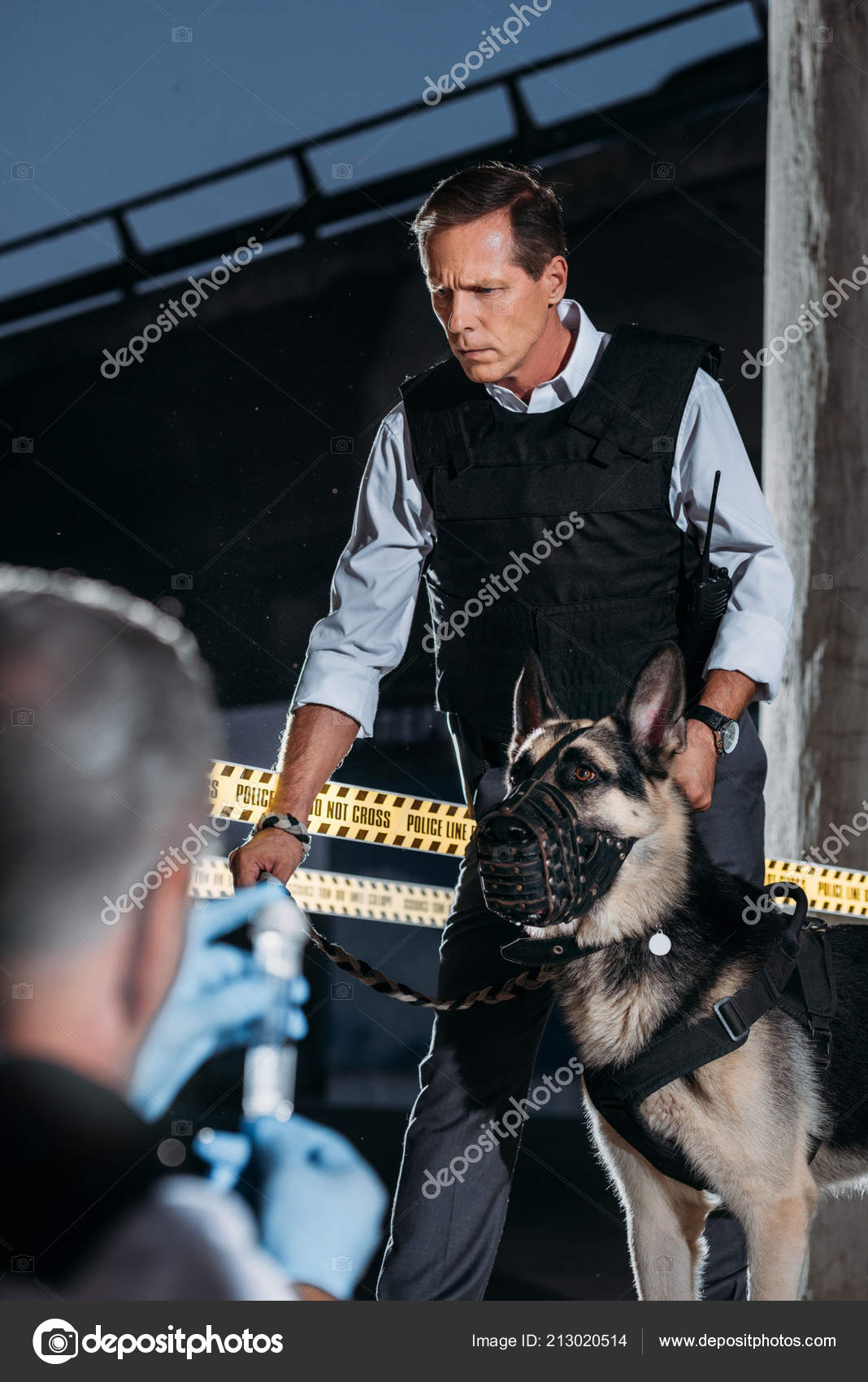 Mise Point Sélective Policier Mature Avec Chien Berger