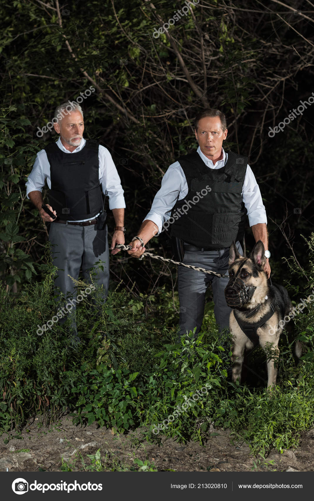 vests for german shepherds