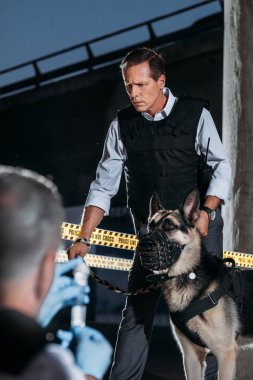 selective focus of mature policeman with german shepherd dog on leash while his colleague sitting near at crime scene 