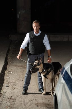 kurşun geçirmez yelek Alman çoban köpek tasma City car yakınındaki sokak tutarak olgun Karakoldaki Polis 