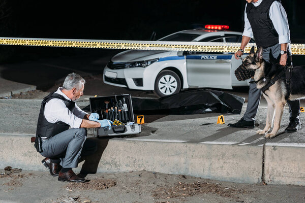 male police officer sitting near case for investigation tools while his colleague standing near with dog on leash at crime scene with corpse 