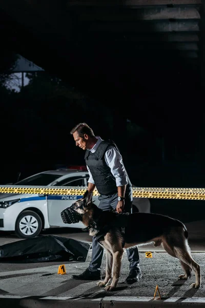 Policeman Holding German Shepherd Leash Cross Line Crime Scene Corpse — Stock Photo, Image