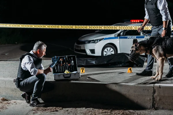 成熟した警官の死体に犯罪現場でひもにつないで犬を近くに立っている彼の同僚間の調査道具のケースに近いラテックス手袋に置くこと  — 無料ストックフォト