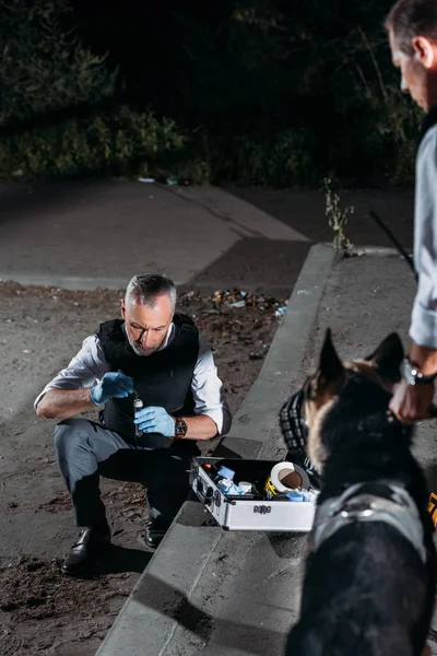 戴乳胶手套的男性警官收集证据以案件调查工具 而他的同事站在狗在犯罪现场皮带 — 图库照片