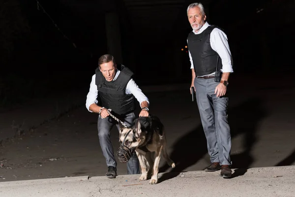 Alman Çoban Köpek Üstünde Kira Kontratı Street Ile Ciddi Erkek — Stok fotoğraf