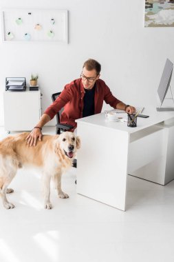 mutlu işadamı okşayarak köpek modern ofis içinde 