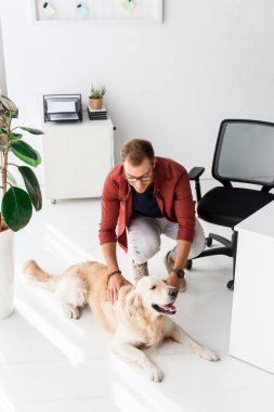 adam okşayarak golden retriever köpek katta