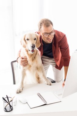 modern ofiste çalışırken işadamı sarılma golden retriever 