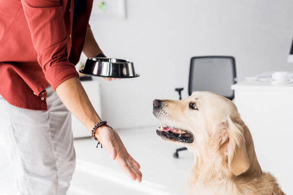 cropped view of man with dog bowl giving hand to golden retriever dog
