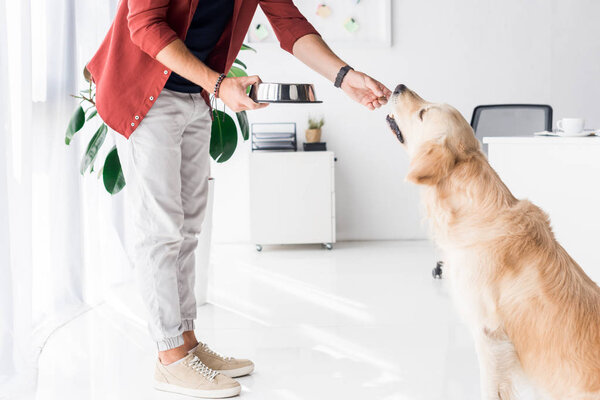 cropped view of man feeding golden retriever dog by workspace