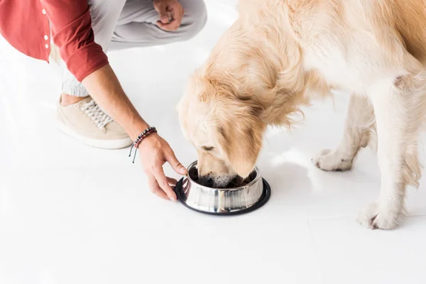 Visão Cortada Homem Alimentando Golden Retriever Tigela Cão — Fotografia de Stock