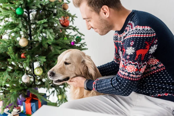 Man Christmas Sweater Met Gouden Retriever Buurt Van Kerstboom — Stockfoto