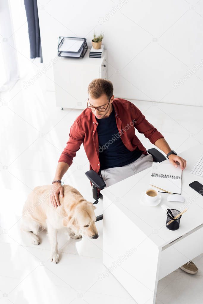 businessman stroking dog in modern office 