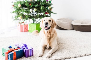 hediye kutuları yakın katta Noel'de yalan altın geri almak