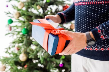 cropped view of man in christmas sweater with gift box in hands near christmas tree clipart