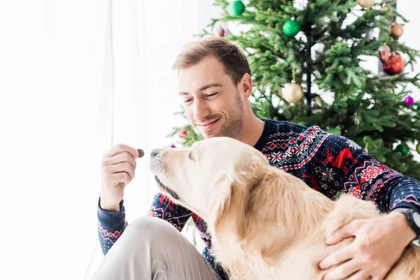 Man Kerst Trui Hondenvoer Geven Golden Retriever — Stockfoto