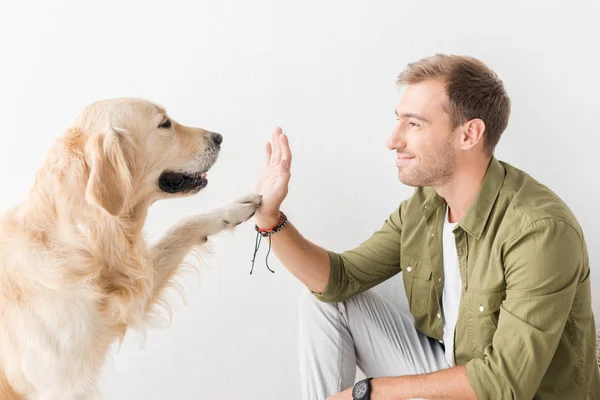 金黄猎犬狗给五对快乐的人反对白色墙壁 — 图库照片