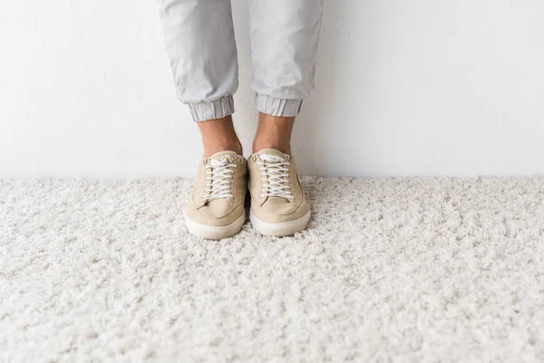 Low Section View Fashionable Man Beige Rug — Free Stock Photo