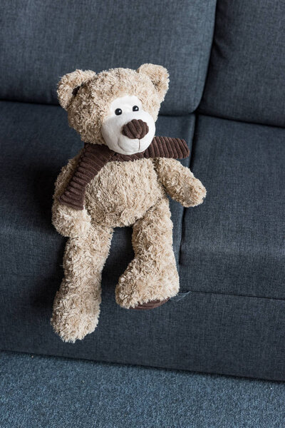 high angle view of cute brown teddy bear on grey couch