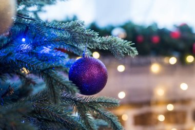güzel bir parlak mor top Noel ağacına asılı görmek