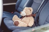 close-up shot of cute teddy bear sitting on back seats of car