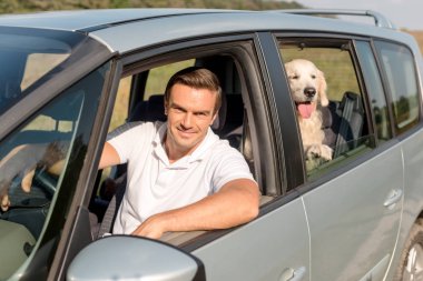 mutlu bir adam ile alanında araba sürüş sırasında pencereden dışarı bakarak retriever köpek