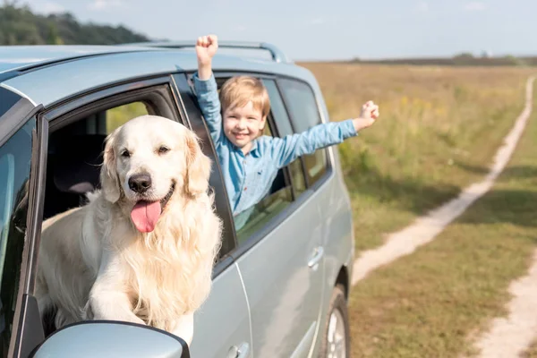 Gelukkig Kind Paardrijden Autootje Met Zijn Gouden Retriever Hond Veld — Stockfoto