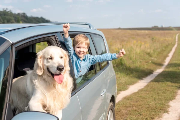 Celebrating Little Kid Riding Car His Golden Retriever Dog Field — Stock Photo, Image