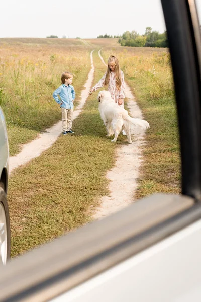 Adorables Niños Pequeños Jugando Con Golden Retriever Campo Con Coche — Foto de stock gratis