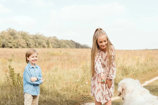 愛らしい小さなはフィールドでのゴールデン リトリーバー犬と遊ぶ子供たち  — 無料ストックフォト