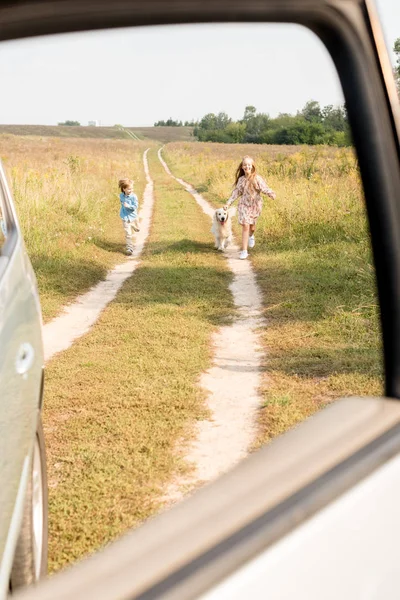 Adorables Niños Pequeños Caminando Por Carretera Campo Con Golden Retriever — Foto de stock gratis