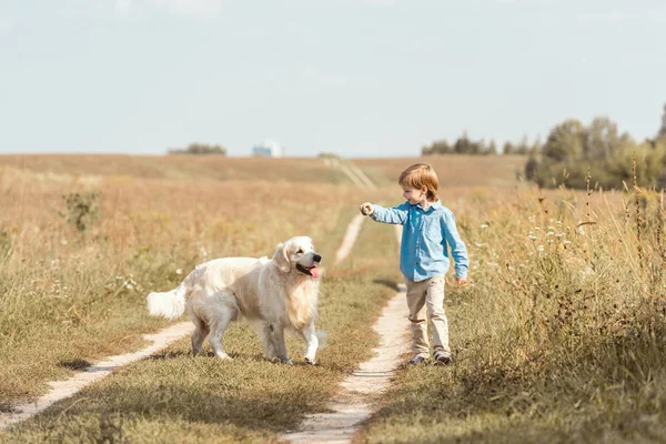 Entzückendes Kleines Kind Auf Dem Feld Spielt Mit Golden Retriever — Stockfoto