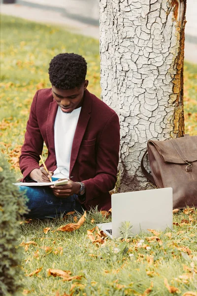 Concentrado Africano Americano Freelancer Escrever Documentos Sentado Grama Com Laptop — Fotografia de Stock Grátis