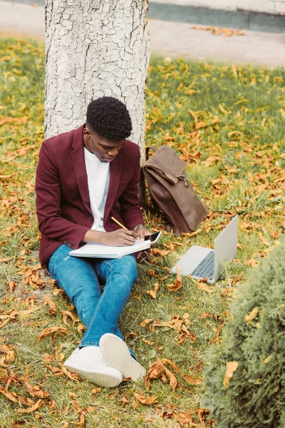 Frumos Tânăr African American Freelancer Scriind Lucrând Laptop Smartphone Iarbă — Fotografie de stoc gratuită
