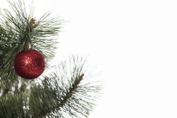 Vista Cerca Bola Roja Árbol Navidad Aislado Blanco — Foto de Stock