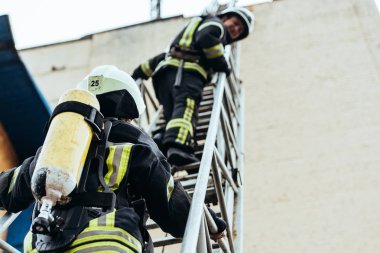 selective focus of firefighters in fireproof uniform standing on ladder clipart
