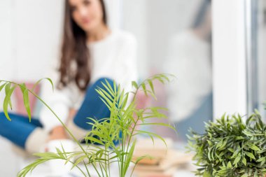 seçici odak houseplants ön plan üzerinde ile evde pencere kenarında oturmak güzel genç kadın