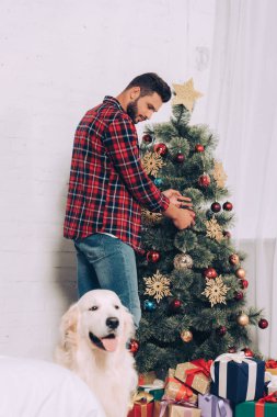 şirin golden retriever yakınındaki evde otururken dekorasyon Noel ağacı dostum