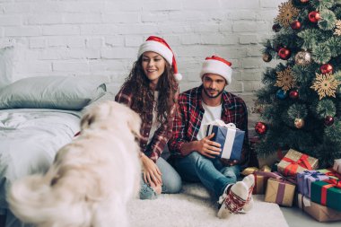 hediye ile Golden retriever kutu Noel Noel Baba şapkaları mutlu çift yakınındaki ağız ayakta evde