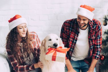 hediye ile sevimli golden retriever kutu ağız ve çift evde chritmas üzerinde Noel Baba şapkaları